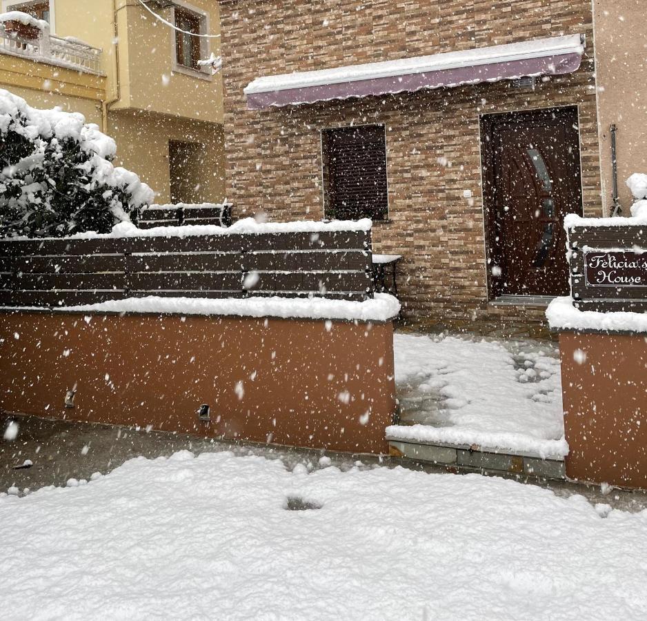 Felicia'S House Villa Agria Dış mekan fotoğraf